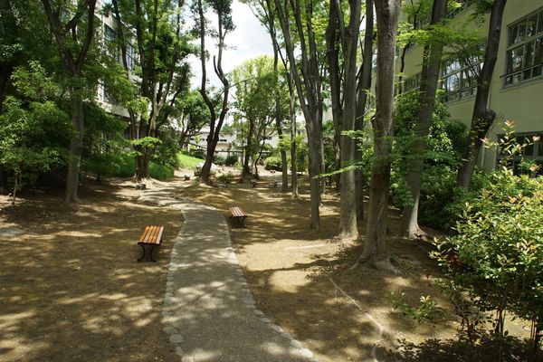 中庭　雑草除去