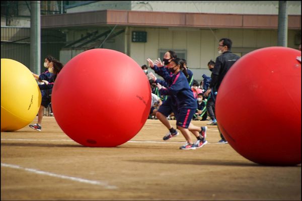 体育大会