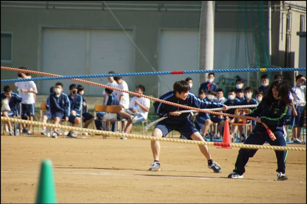 体育大会
